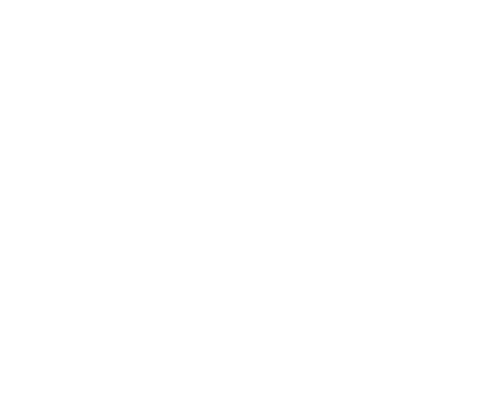 WISP Logo